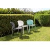 Pongo Chair