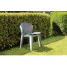 Pongo Chair