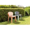 Pongo Chair