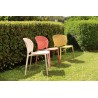 Pongo Chair