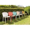 Pongo Chair