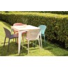 Pongo Chair