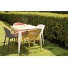 Pongo Chair